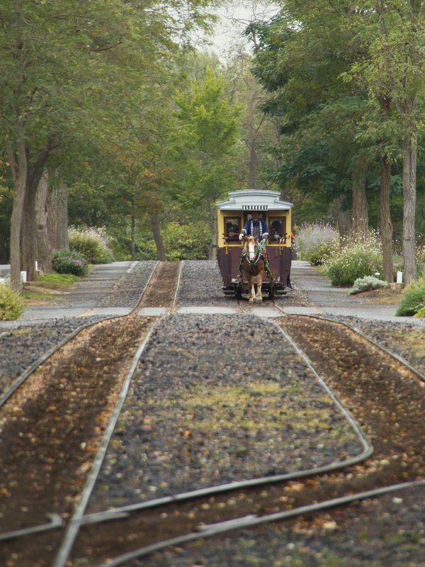 並木の線路を走る馬車鉄道